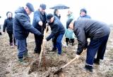 В Калужской области появится 435 гектаров яблоневых садов